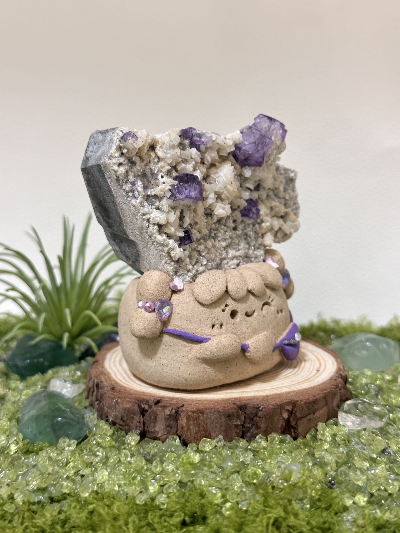 Gypsum mica crystal coexistence