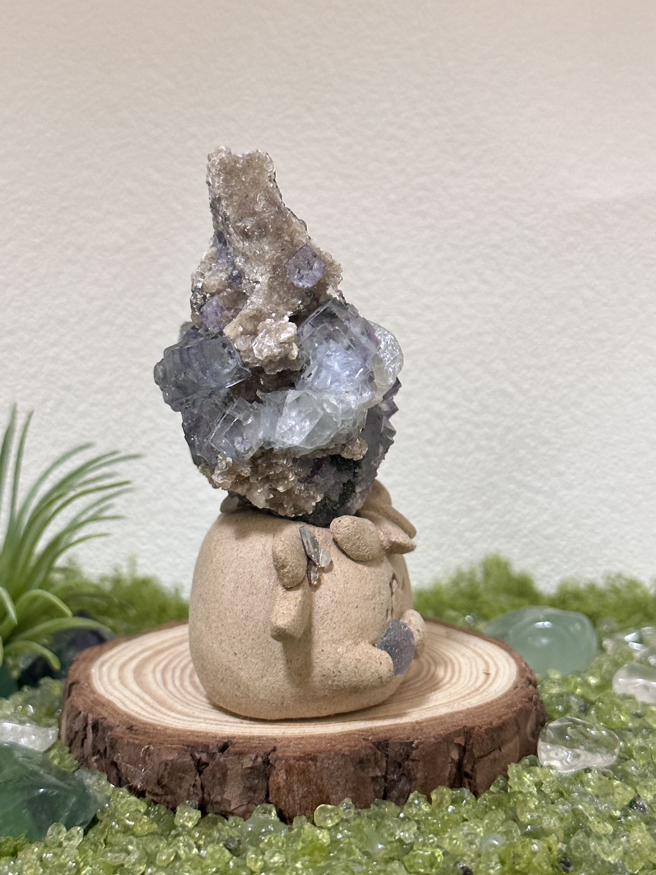 Gypsum mica crystal coexistence