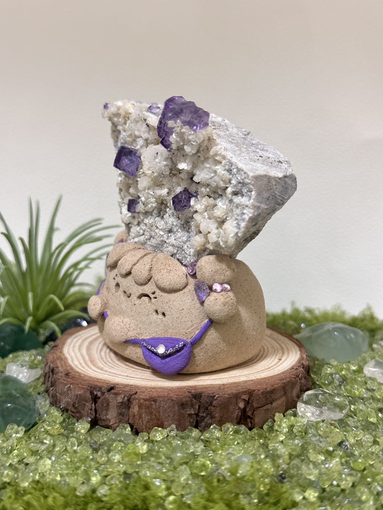 Gypsum mica crystal coexistence