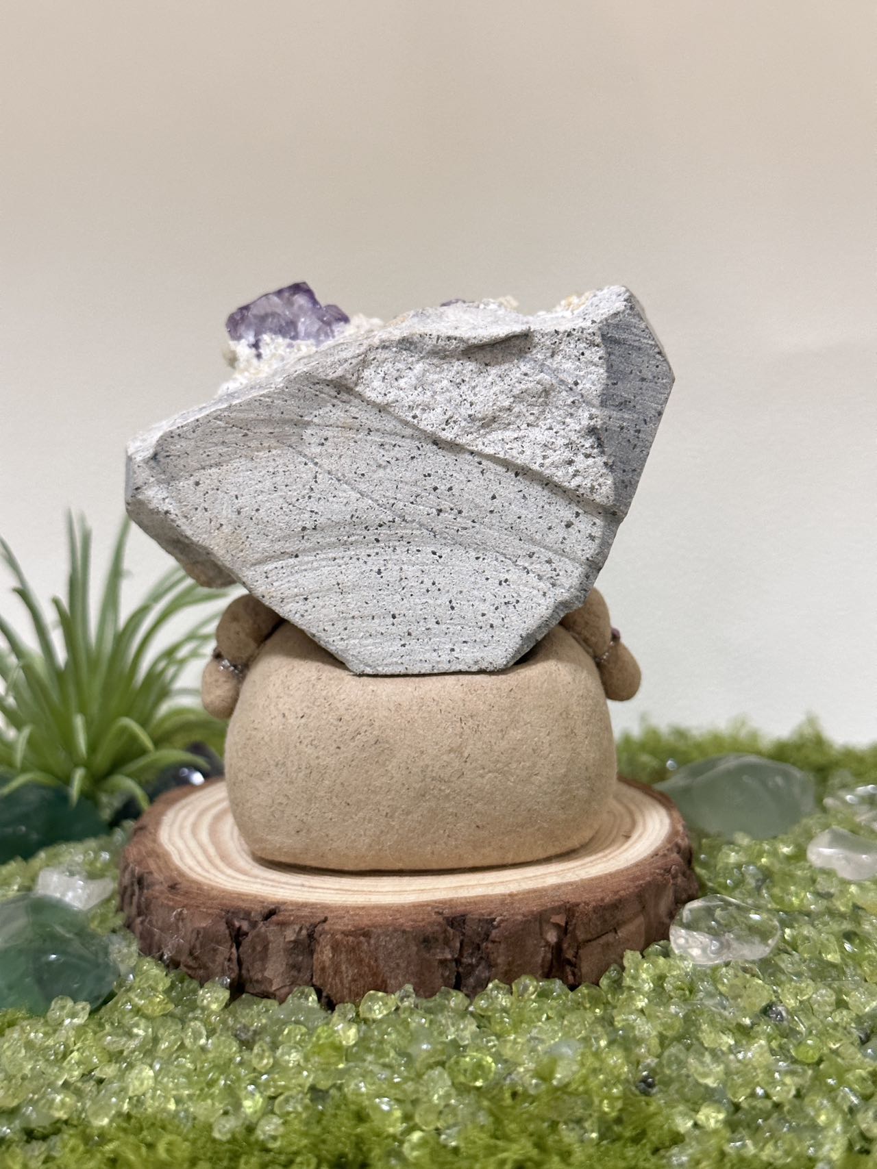 Gypsum mica crystal coexistence