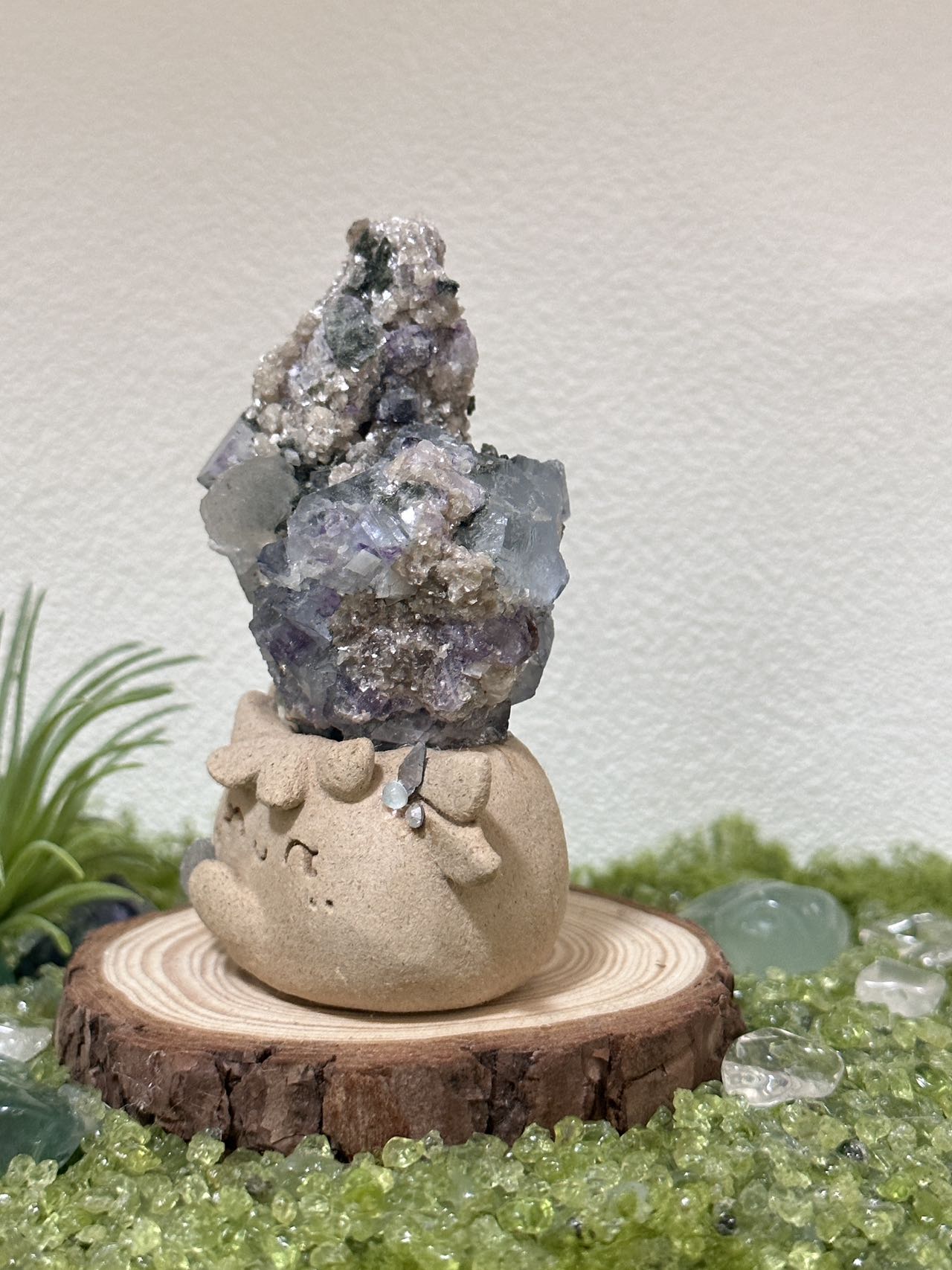 Gypsum mica crystal coexistence