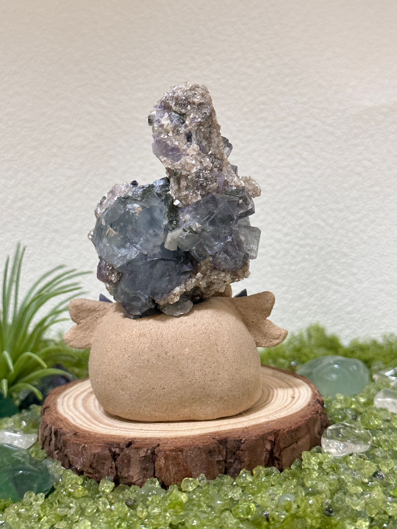 Gypsum mica crystal coexistence