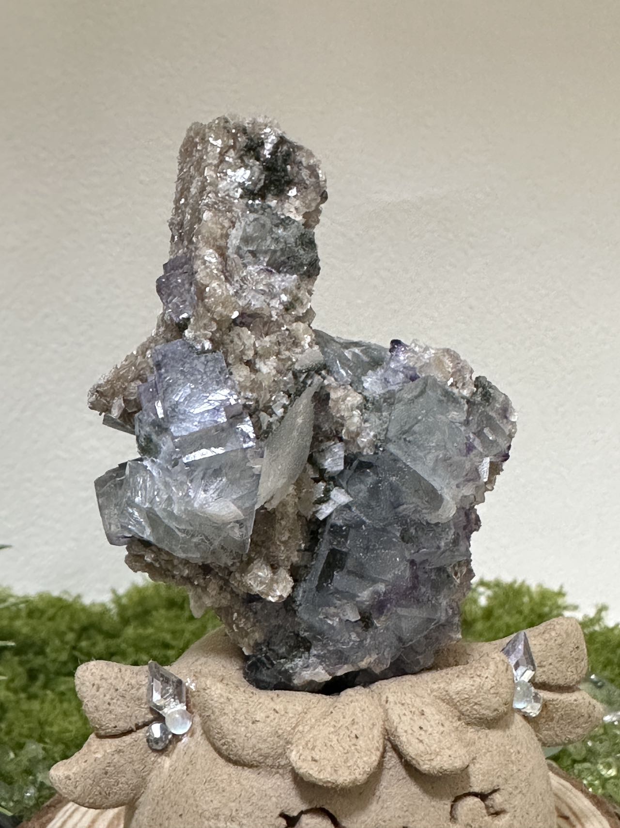 Gypsum mica crystal coexistence